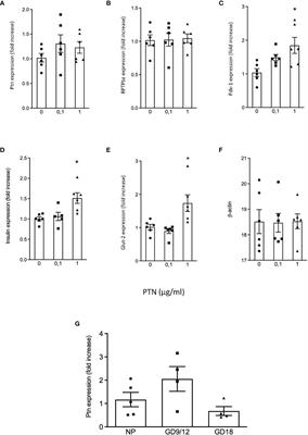 Pleiotrophin Expression and Actions in Pancreatic β-Cells